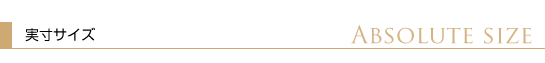 サイズタイトル