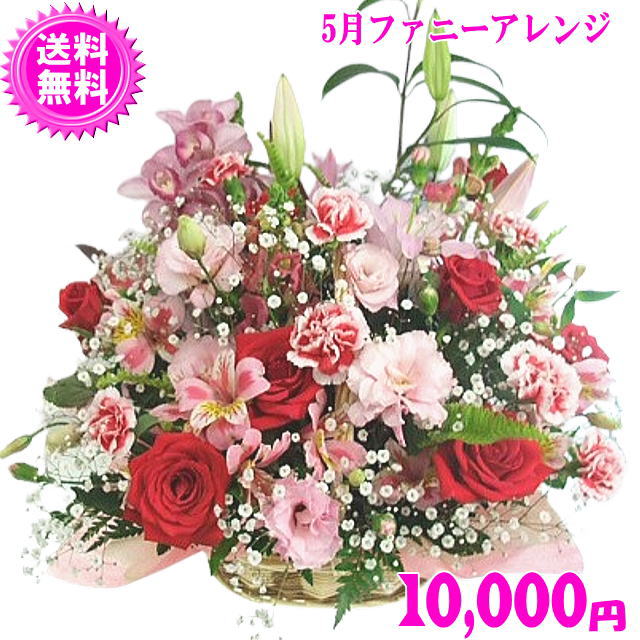 ■5月の誕生花【カーネーション】で華やかに仕上げた豪華なアレンジです 15時までのご注文で翌日配達対応！ （※5/10〜5/19は翌日対応不能） 全国どこでも【送料無料】です！ 5月の季節の新鮮なお花