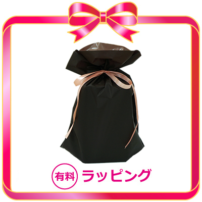 有料ラッピング（小?中サイズ） ブラウン WRAPPING-001通販セール状況　外国語　翻訳　通訳　通販