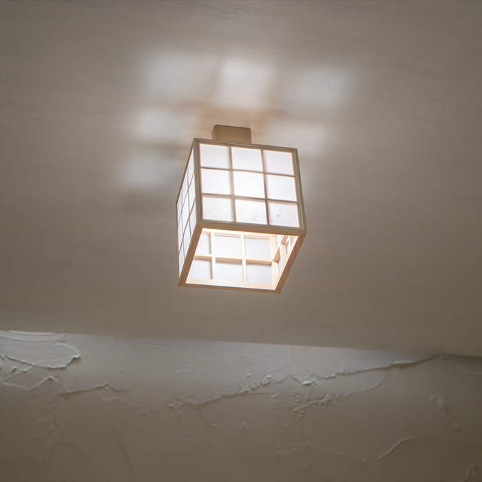 新洋電気 コンビネーションランプ シーリングライト 凡 bon AC936