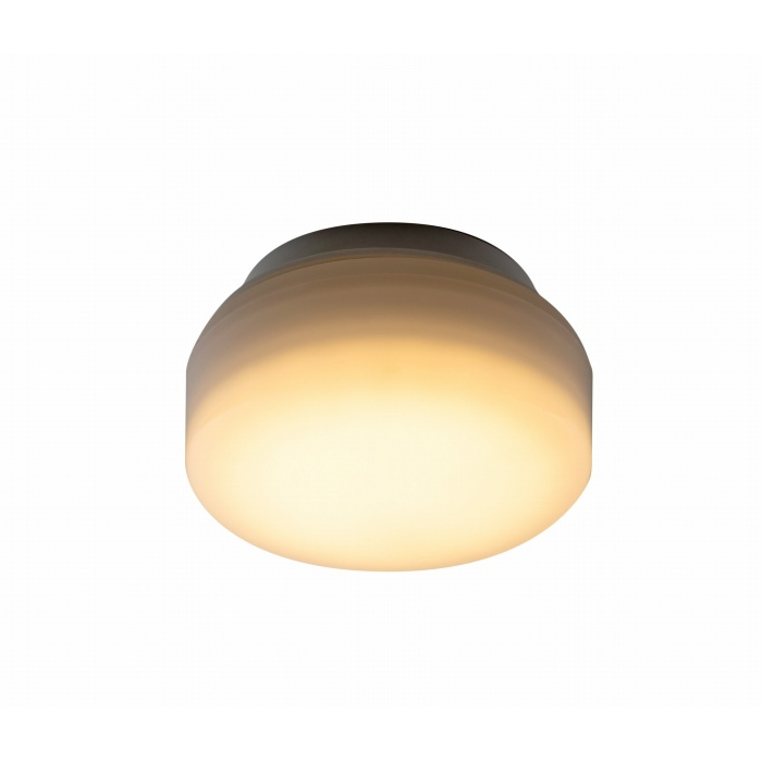 アビテラックス 小型LEDシーリングライト 電球色 ALCM120L