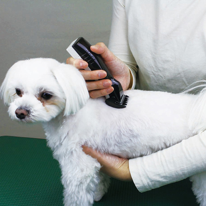 ドギーマンハヤシ ホームバーバープロフェッショナル コンパクト バリカン 95117 DoggyMan 犬猫用品 DO-95117