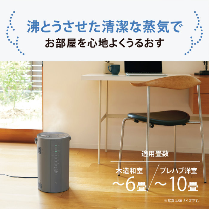 象印 スチーム式加湿器 3.0L 木造6畳 プレハブ10畳 EE-DG35-HA グレー