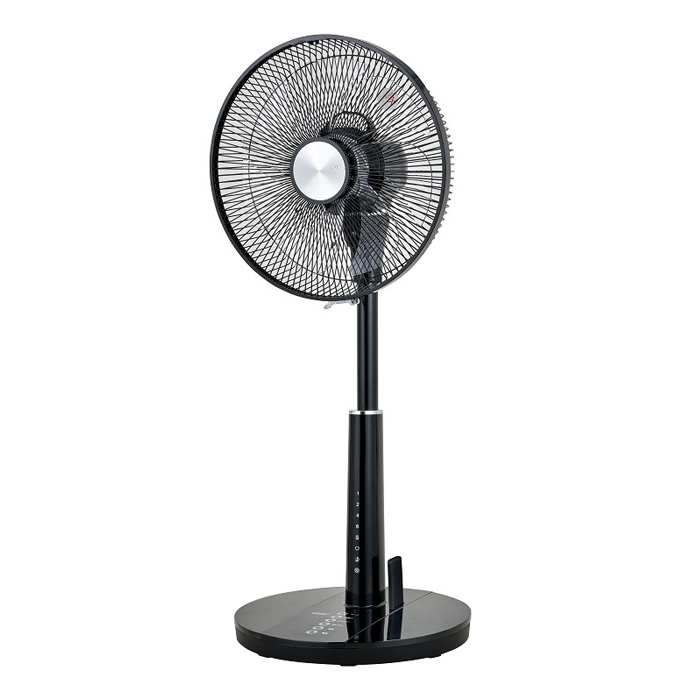 おおたけ 扇風機 DCモーター リビング扇風機 フルリモコン GF-DC325FR-K ブラック