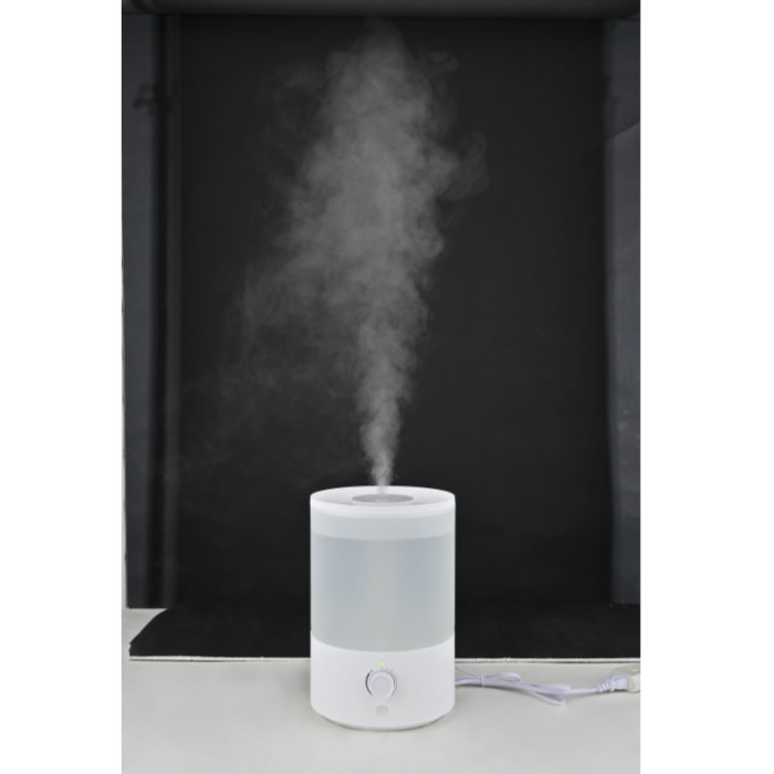 おおたけ 超音波加湿器 GH-U256-W ホワイト