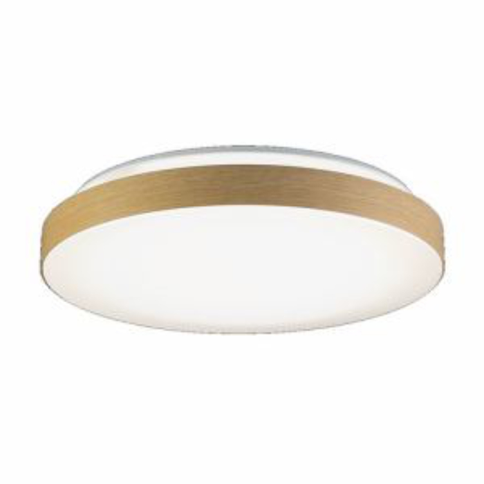 HotaluX ホタルクス HLDC08432SG LEDシーリングライト 8畳 調色 3.800lm ホタルック機能搭載 かんたん留守タイマー HLDC08432SG