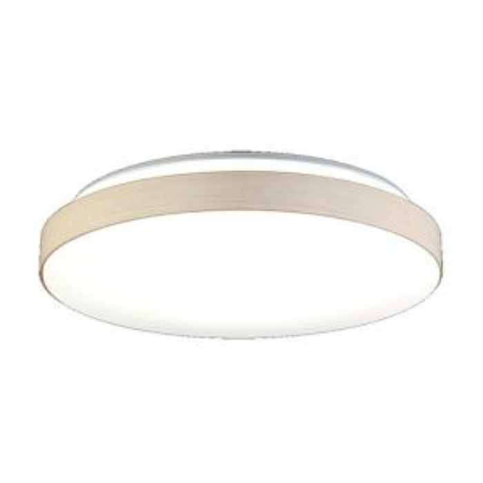 HotaluX ホタルクス HLDC12435SG LEDシーリングライト 12畳 調色 4.800lm ホタルック機能搭載 かんたん留守タイマー HLDC12435SG