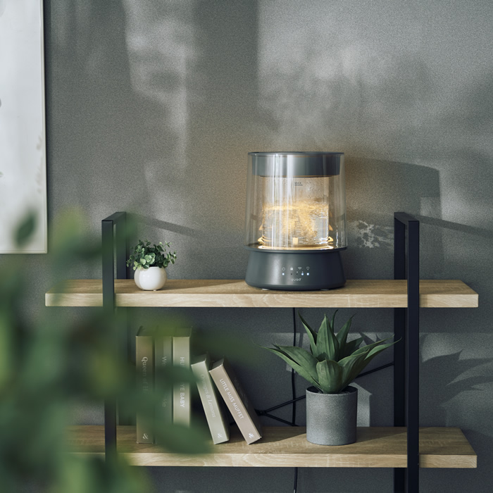 QUADS クワッズ ガラススチーム加湿器 GLASS グラス QS549GY グレー