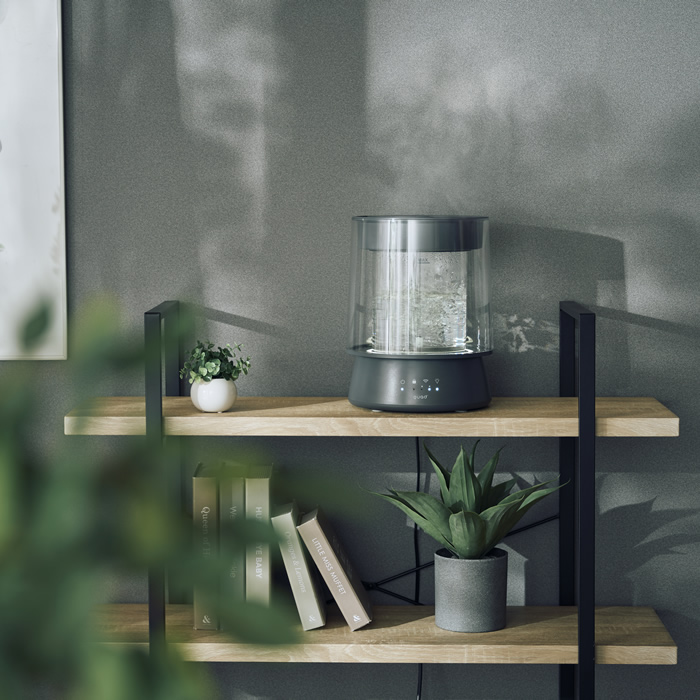 QUADS クワッズ ガラススチーム加湿器 GLASS グラス QS549GY グレー