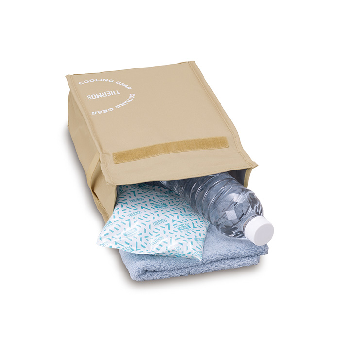 サーモス 保冷バッグインバッグ 3L ベージュ REY-0031-BE 保冷剤付き 保冷バッグ クーラーバッグ