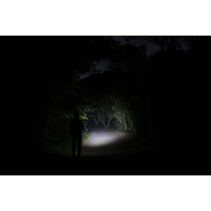 ジェントス ハンディライト REXEEDシリーズ RX-332D