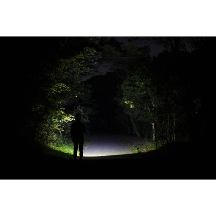 ジェントス ハンディライト REXEEDシリーズ RX-332D