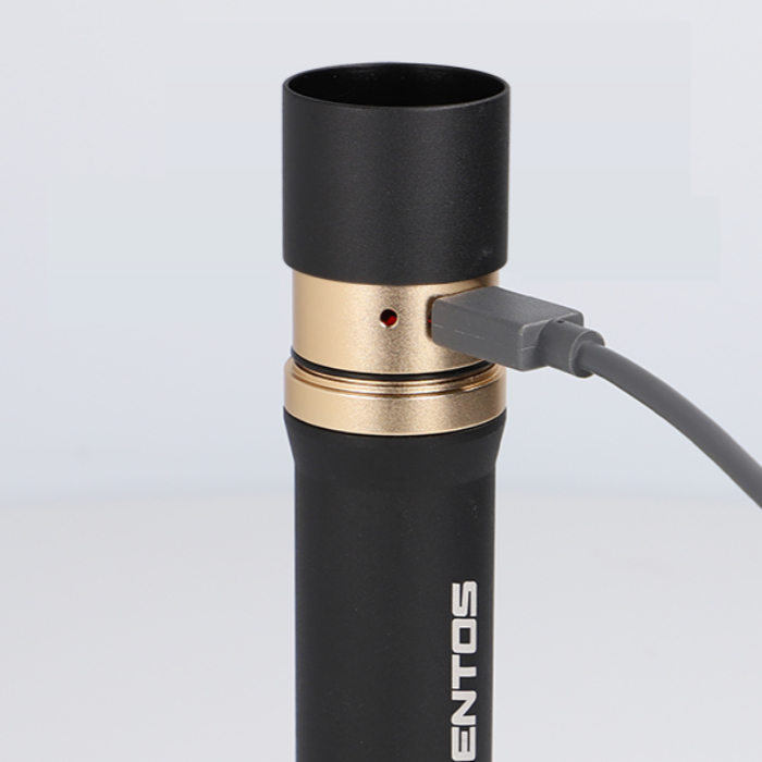 ジェントス ハンディライト REXEEDシリーズ RX-386R