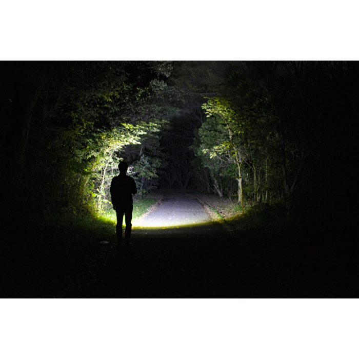 ジェントス ハンディライト REXEEDシリーズ RX-386R