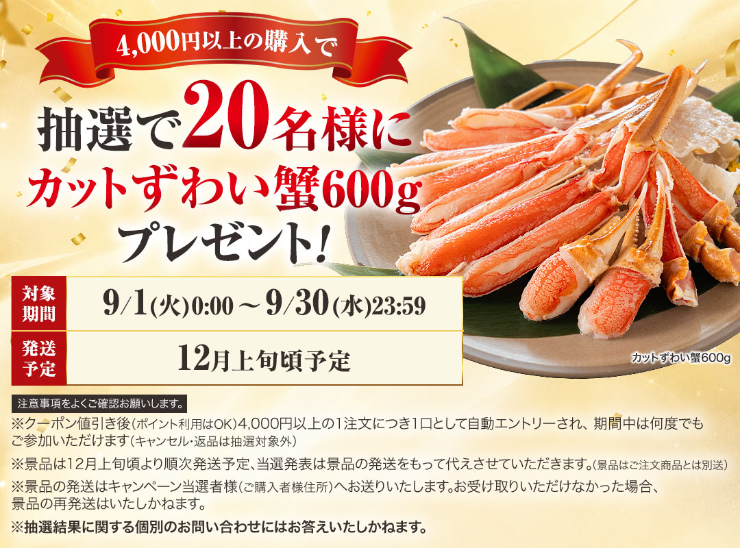 2026年9月限定キャンペーン♪