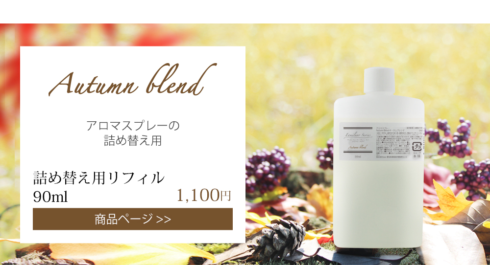 autumn �A���}�X�v���[ ���t�B��