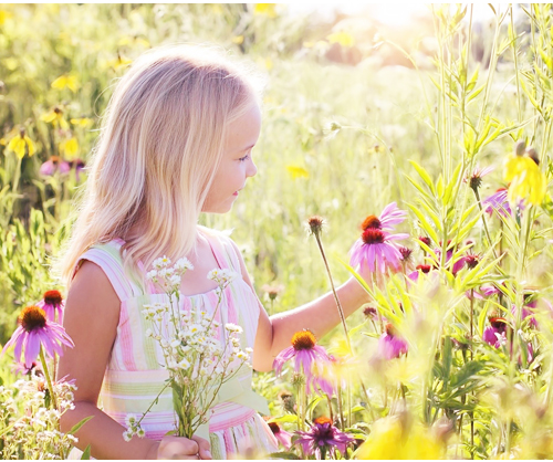 �Ԕ��̎q��