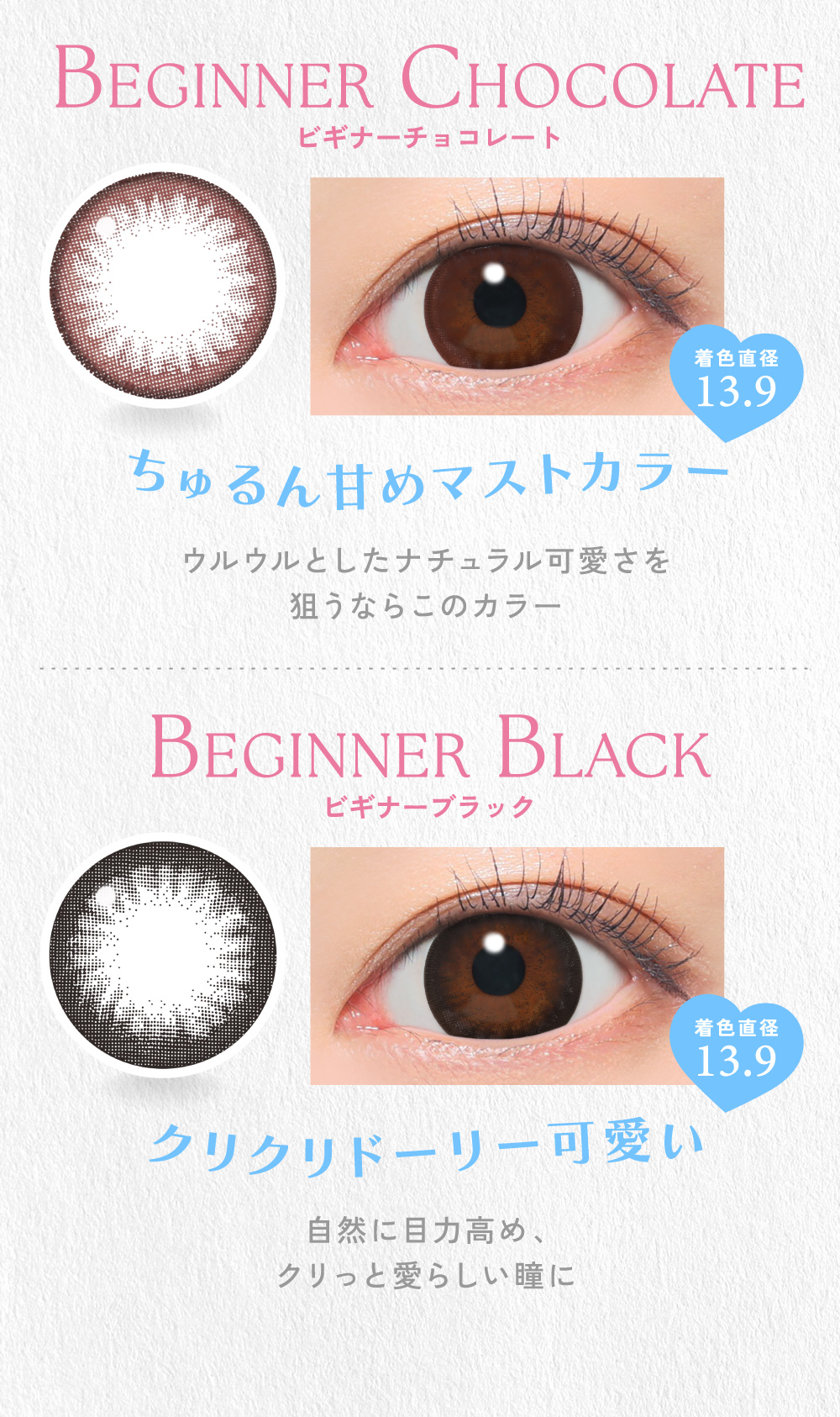 BEGINNER CHOCOLATE�i�r�M�i�[�`���R���[�g�j / BEGINNER BLACK�i�r�M�i�[�u���b�N�j