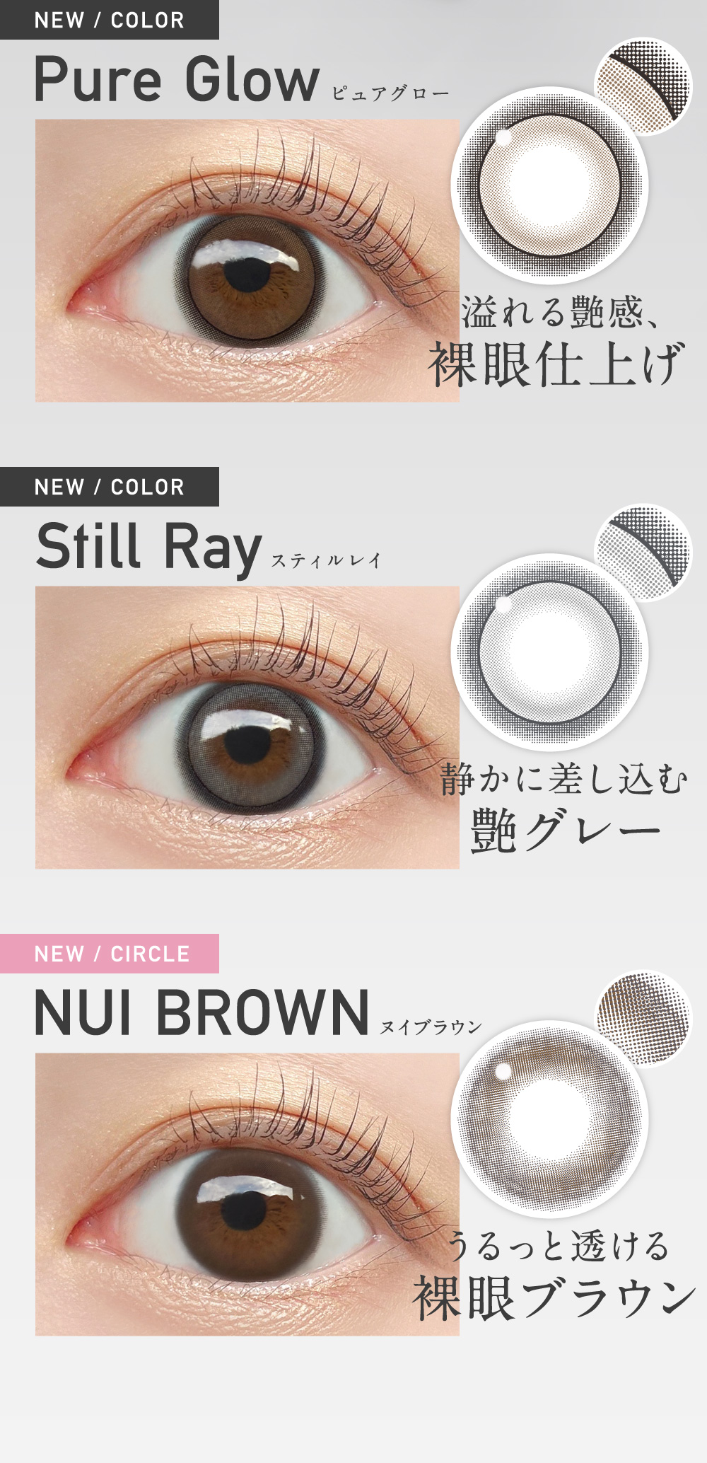 �s���A�O���[ �X�e�B�����C �k�C�u���E��