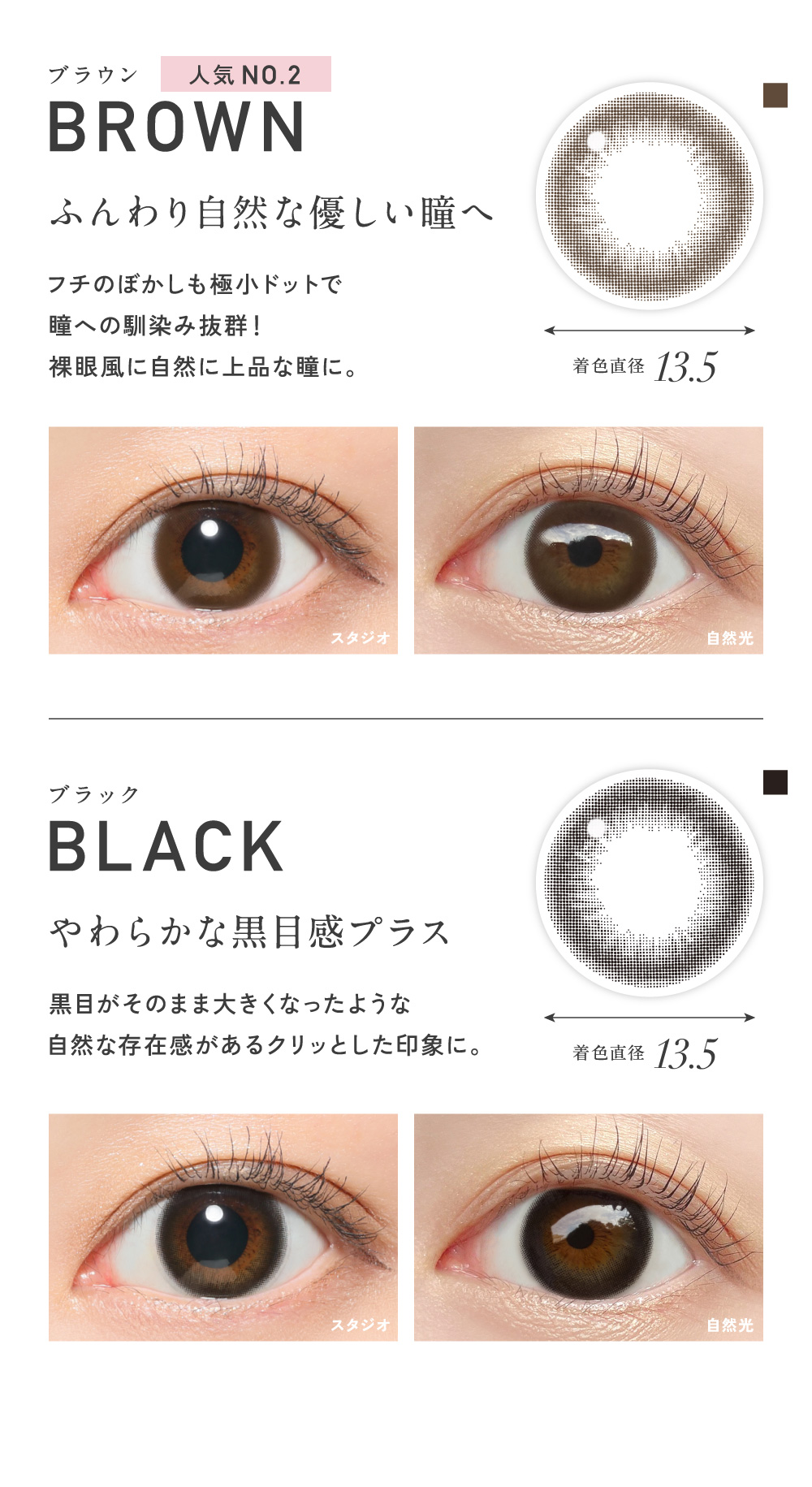 BROWN �u���E���EBLACK �u���b�N