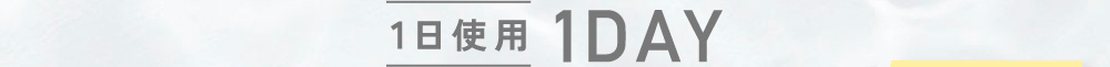 1���g�p 1DAY