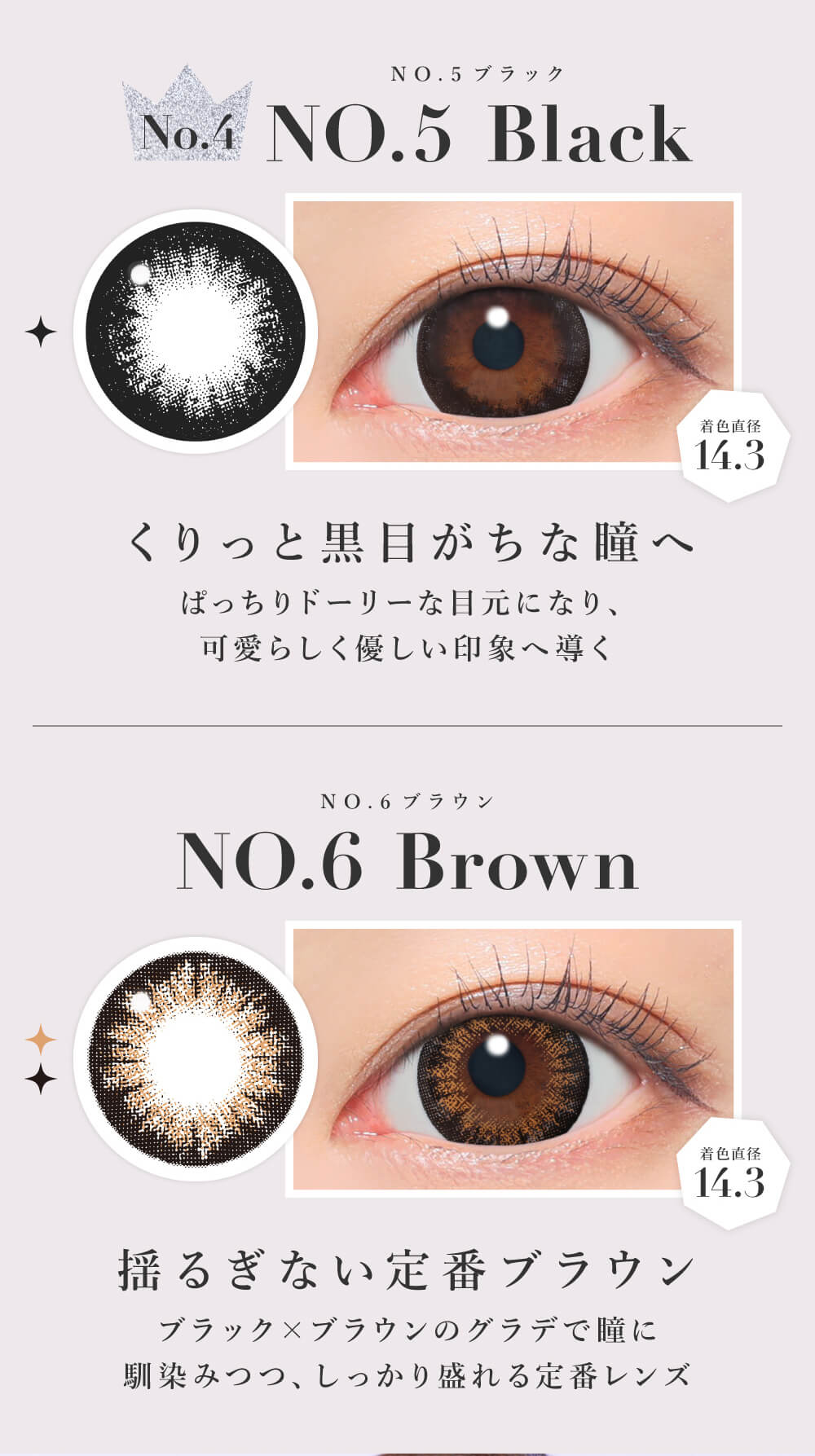 NO.5�u���b�N/NO.6�u���E��