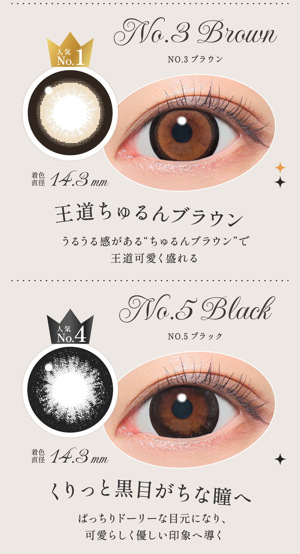 NO.3�u���E��/NO.5�u���b�N