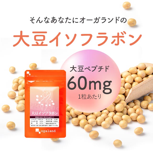 �哤<br>�C�\�t���{��