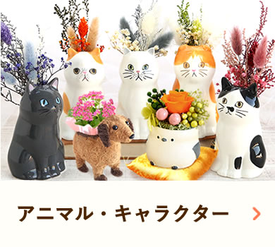 hV̓Mtg2025 Aj}ELN^[