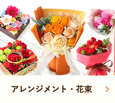 hV̓Mtg2025 ԑEAWEBOX