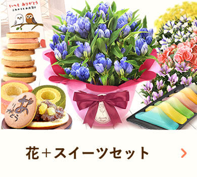 hV̓Mtg2025 ԂƃXC[c