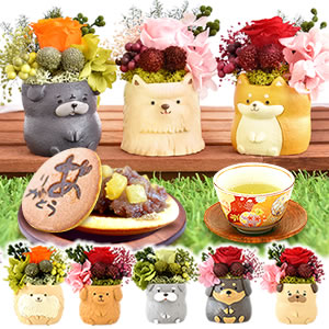 
hV̓ 񂿂vUƊӂ̂ǂĂ
