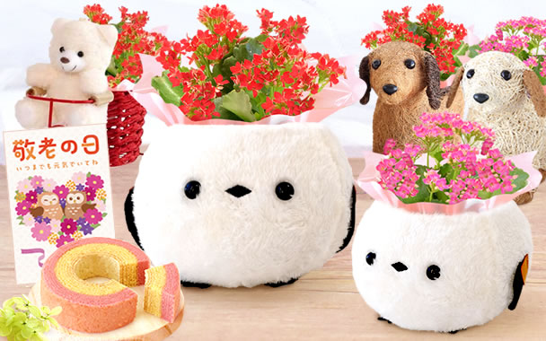 
�I�ׂ�I�����J�����R�G��䕃o�E���Z�b�g�I
