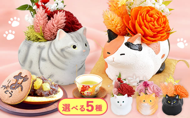 
�h�V�̓� �v���[���g ���킢���L�|�b�g�v���U �܂Ƃ�
