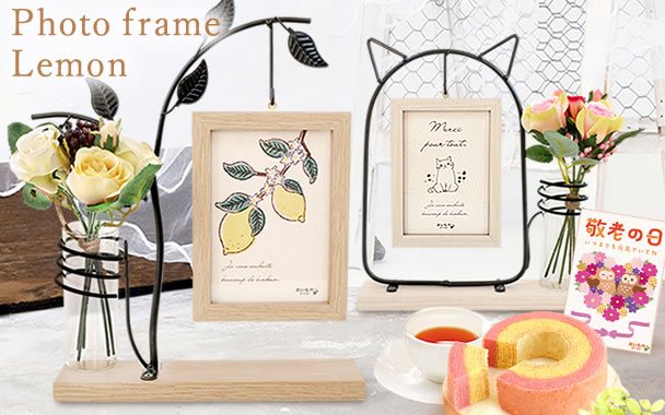 
�I�ׂ�I�t�H�g�t���[�����o�E���N�[�w���Z�b�g
