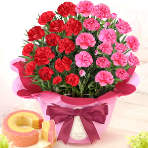 
��̓� 2026 2�F�J�[�l�[�V���� �F �� �s���N
