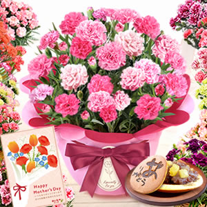 
��̓� �J�[�l�[�V�����@�v���[���g�����L���O1��
