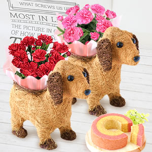 
��̓� 2026�@�J�[�l�[�V������񂿂��i3�����j�@�X�C�[�c�@�܂Ƃ�
