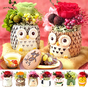 
��̓� �v���[���g �~�j�|�b�h�v���U�\�u�h�t�����[ �X�C�[�c
