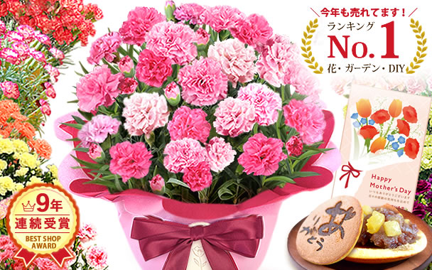 
��̓� �J�[�l�[�V�����@�v���[���g�����L���O1��
