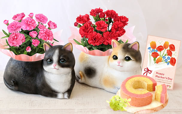 
��̓��@�����܂��L�J�[�l�[�V����
