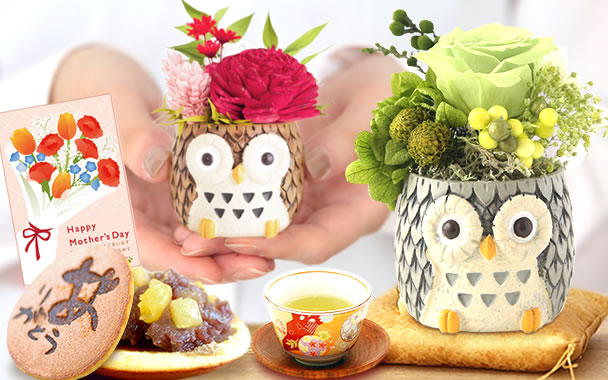 
��̓� �v���[���g �ӂ��낤�v���U�[�u�h�t�����[�Ƃǂ�Ă� �܂Ƃ�
