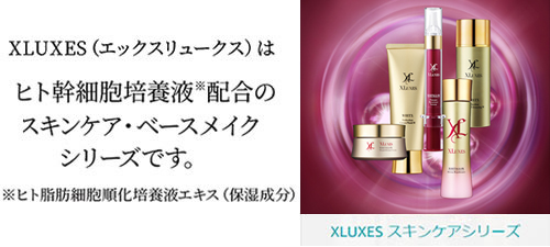 エックスワン インナップ EX 5点まとめ売り インナップEX -株式会社エックスワン