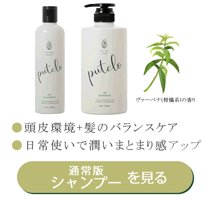 �v�e�� AR �V�����v�[