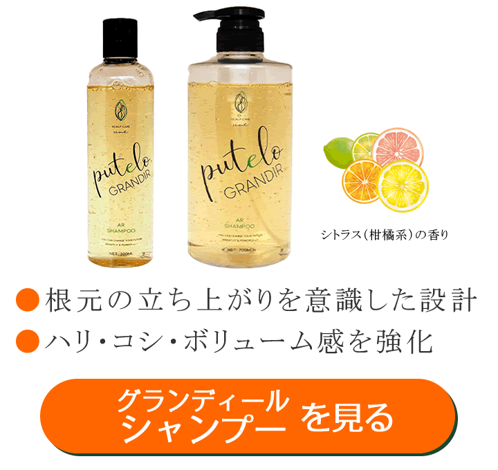 �v�e�� AR �V�����v�[ �O�����f�B�[��