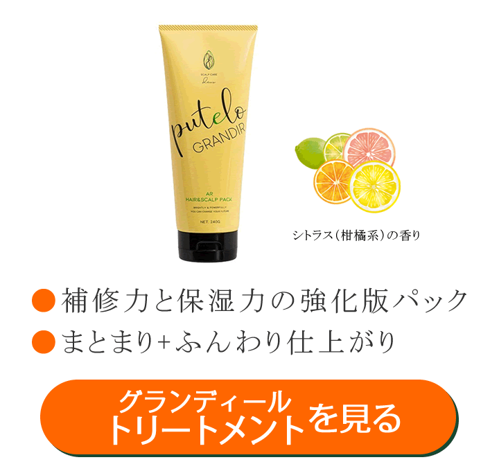 �v�e�� AR �w�A���X�J���v�p�b�N �O�����f�B�[��