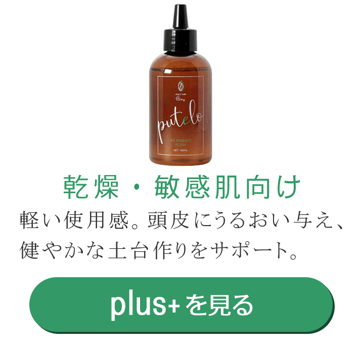 �v�e�� AR �G�b�Z���X plus+