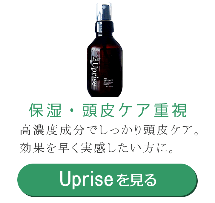 �v�e�� AR �G�b�Z���X Uprise