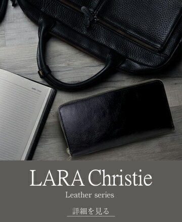 �T�����C�R���N�V����