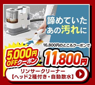 リンサークリーナー